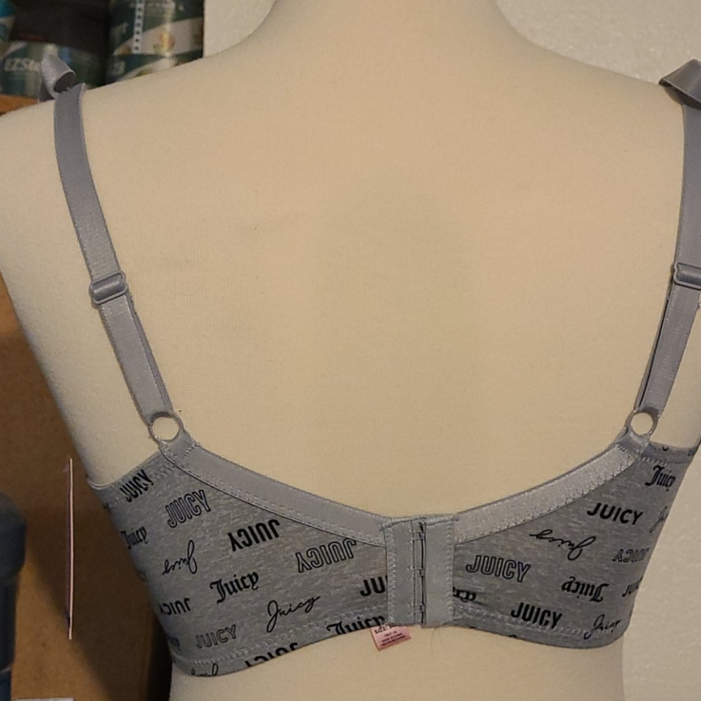 B2G1Free!!!    Juicy couture 3pk sexy t-shirt bras - Picture 4 of 5
